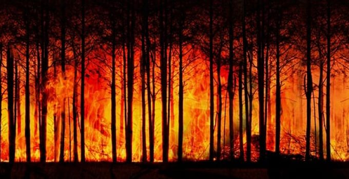 Live-Karte der Waldbrände zeigt Ausmaß der Katastrophe